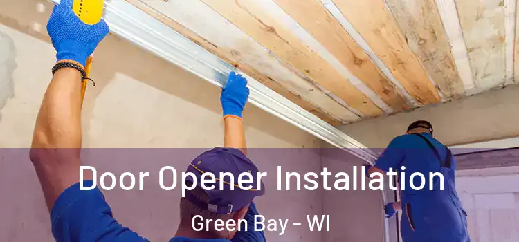  Door Opener Installation Green Bay - WI
