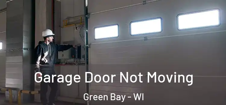  Garage Door Not Moving Green Bay - WI