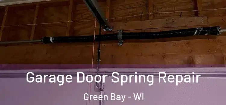  Garage Door Spring Repair Green Bay - WI