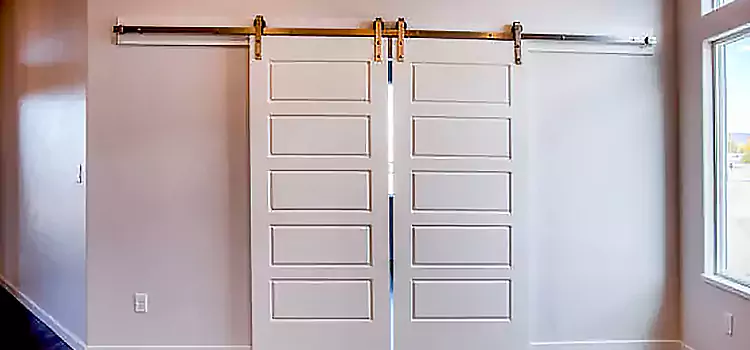 Glass Barn Door with Installation Hardware Kit Green Bay